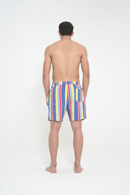 Printed Swim Short - Stripes Mood