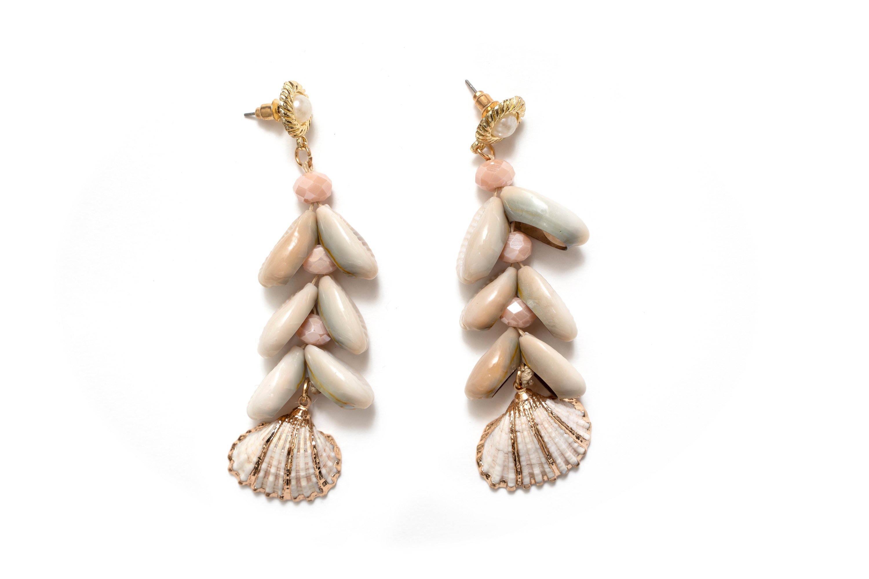 Cowrie Shell Earrings