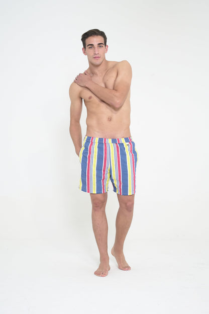 Printed Swim Short - Stripes Mood